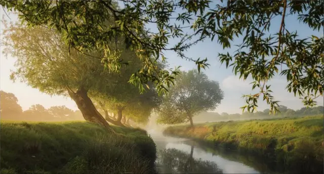 Rustige rivier in ochtendlicht, symbool voor rust en persoonlijke ontwikkeling